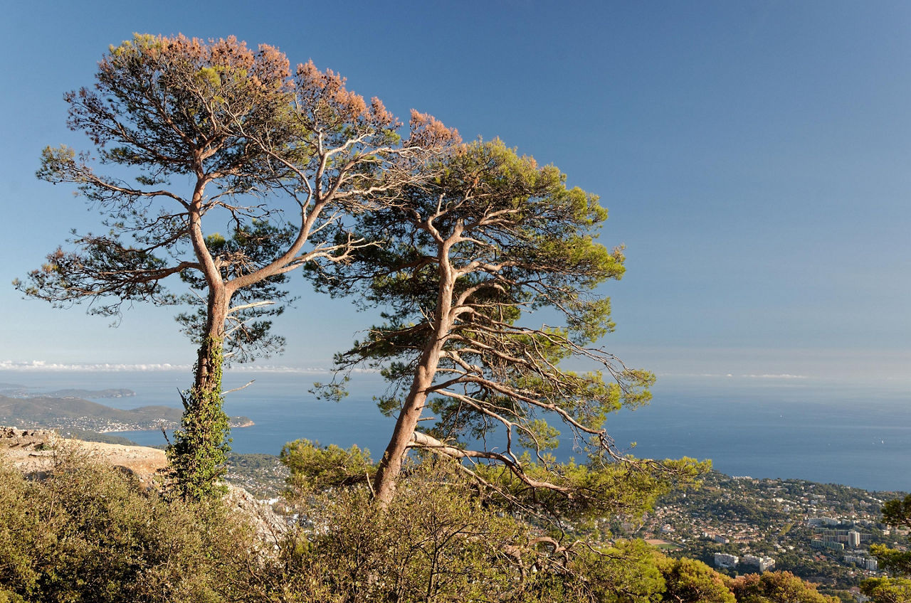Provence (Toulon), France, Mount Faron
