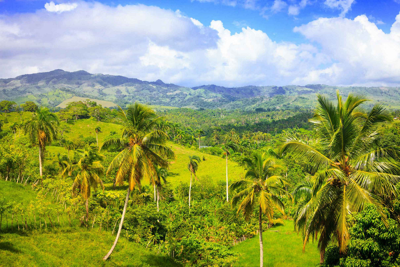 Nature Hike Palm Trees Mountains, Punta Cana, Dominican Republic 