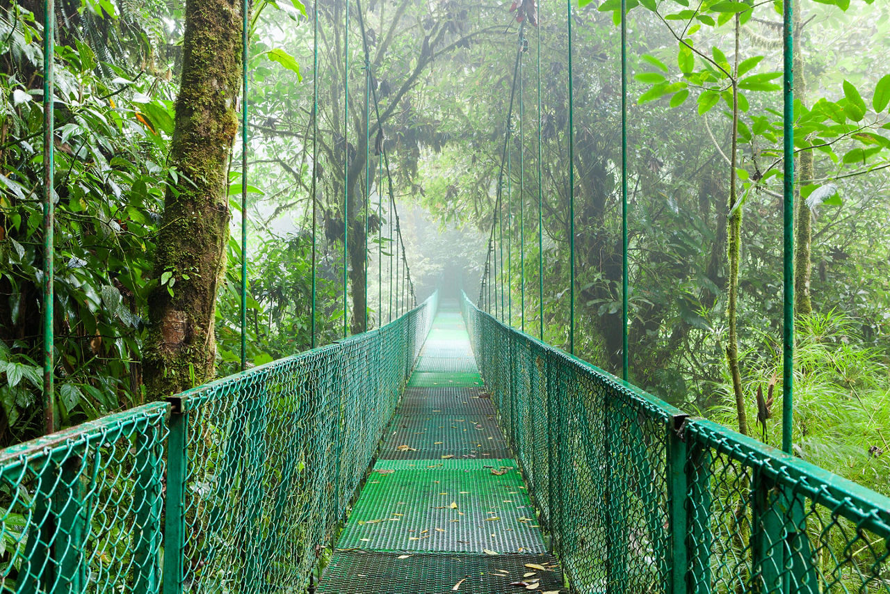 Suspension bridge in a rainforest in Puntarenas, Costa Rica