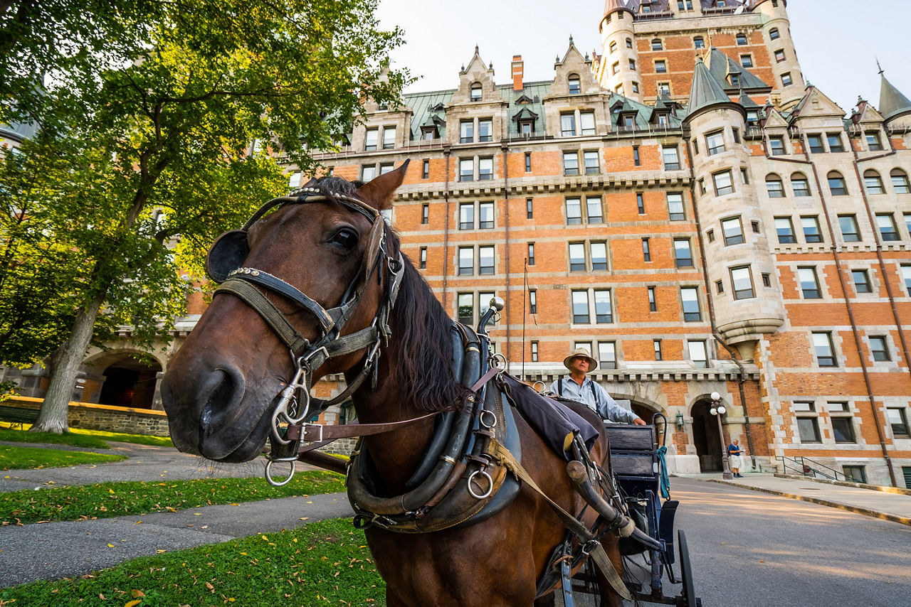 Horse Carriage In Front of Quebec's Historical Building