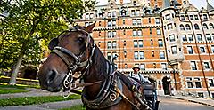 Quebec City Historical Building with Carriage