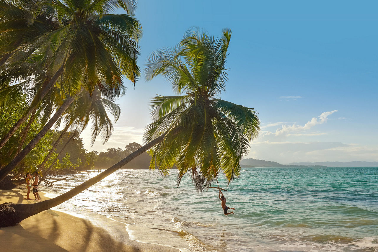Young Boy Swinging Over Water from Palm Tree on Beach, Roatan, Honduras