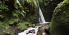 Hibiscus Falls Daytime, Roseau Dominica