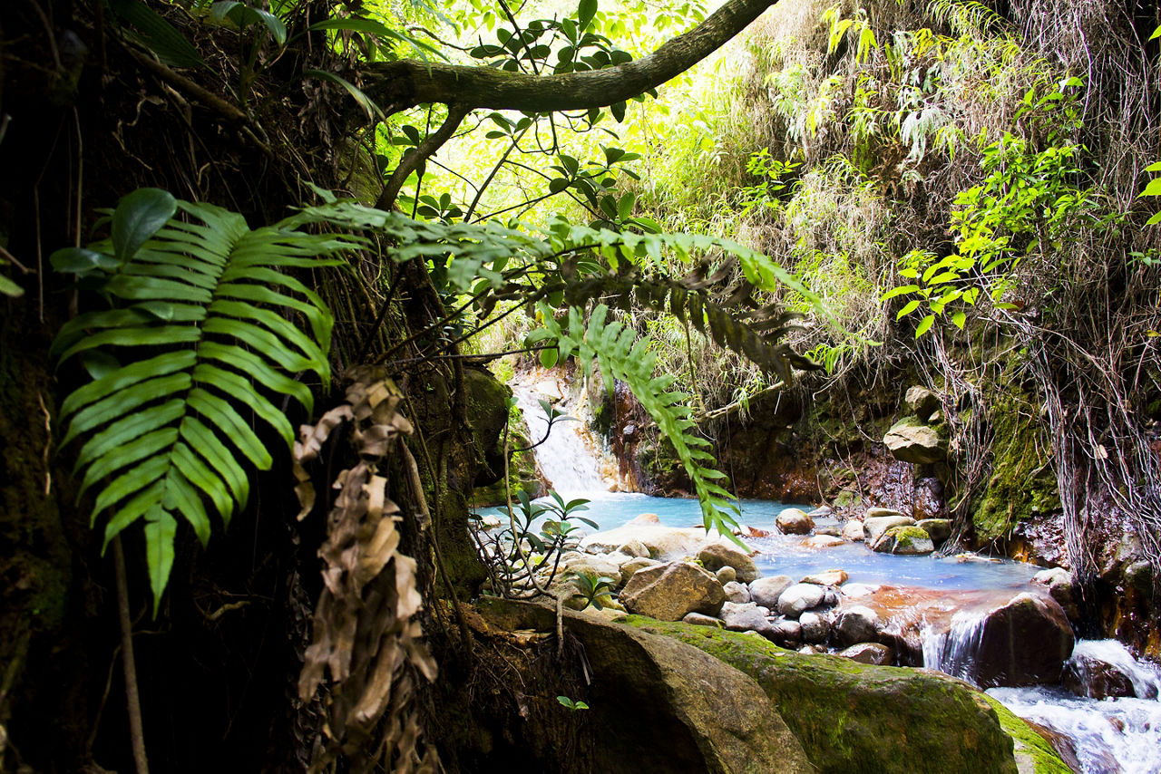 Hike Path Leading to Boiling Lake, Roseau, Dominica