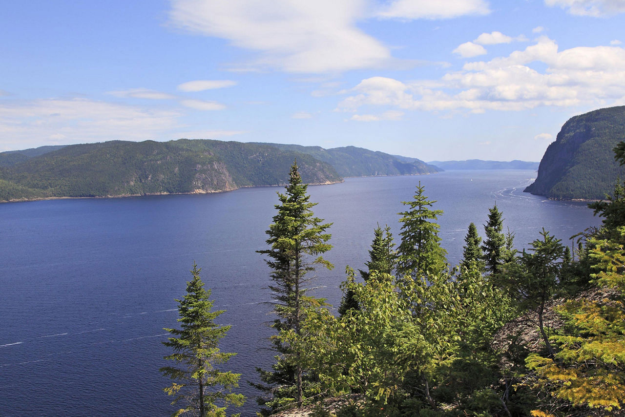 View of the Saguenay Fjord with trees, in Saguenay, Quebec