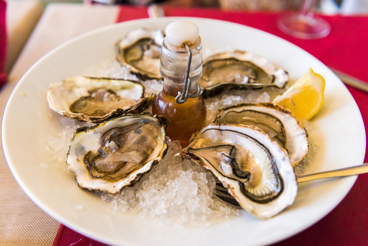 A white plate with a half dozen oysters on ice