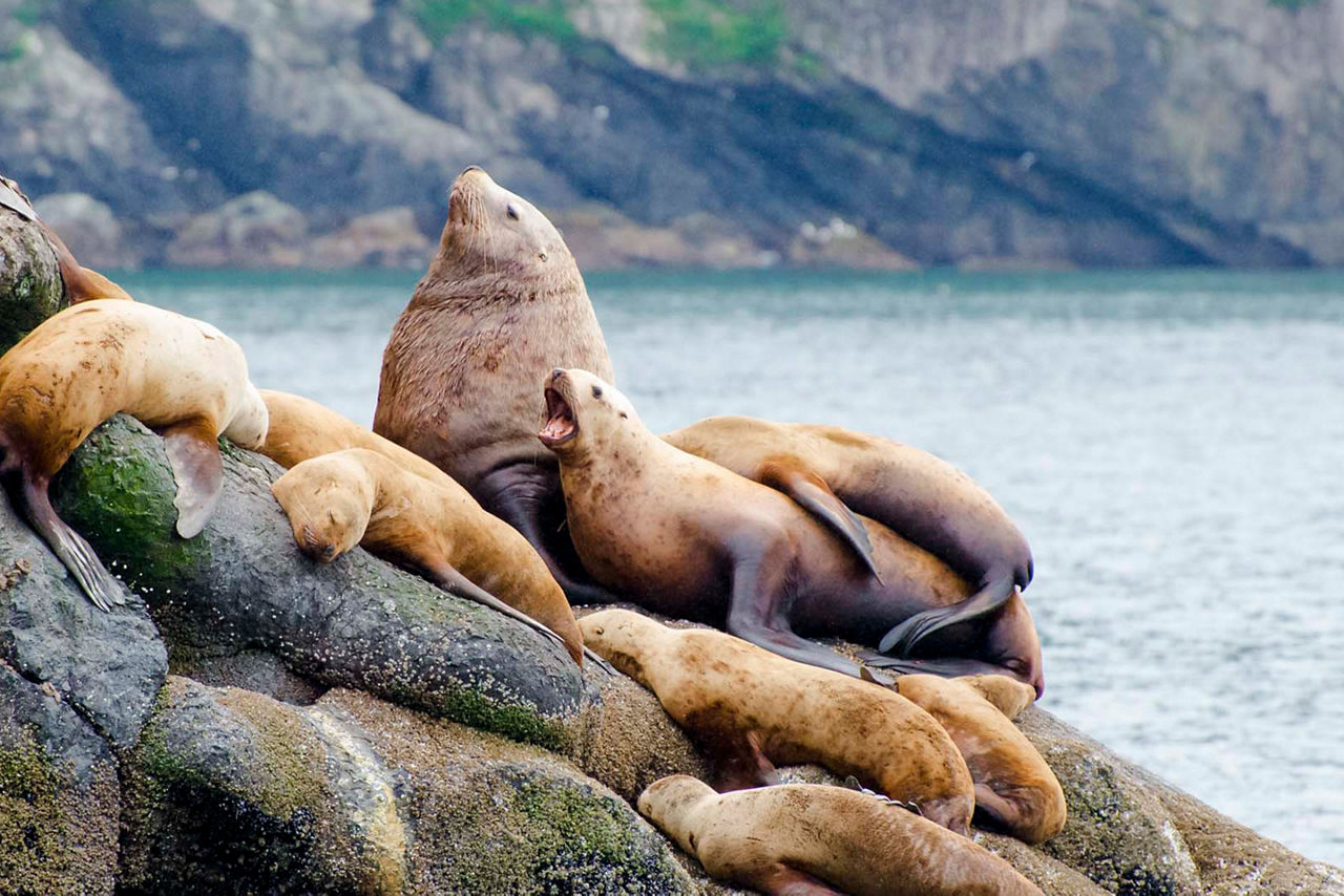 Resurrection Bay, Seward, Alaska