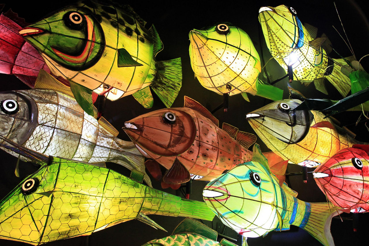 Paper fish lanterns hanging at a market