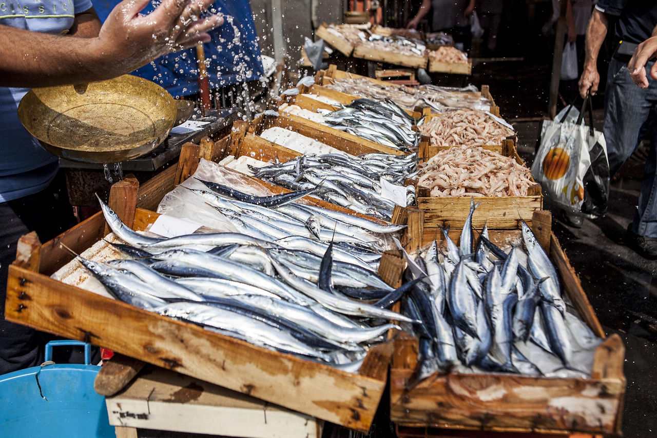 A fish market in Catania, Sicily, Italy