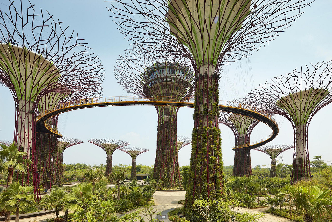 Sculptural vegetation towers from Gardend by the Bay in Singapore