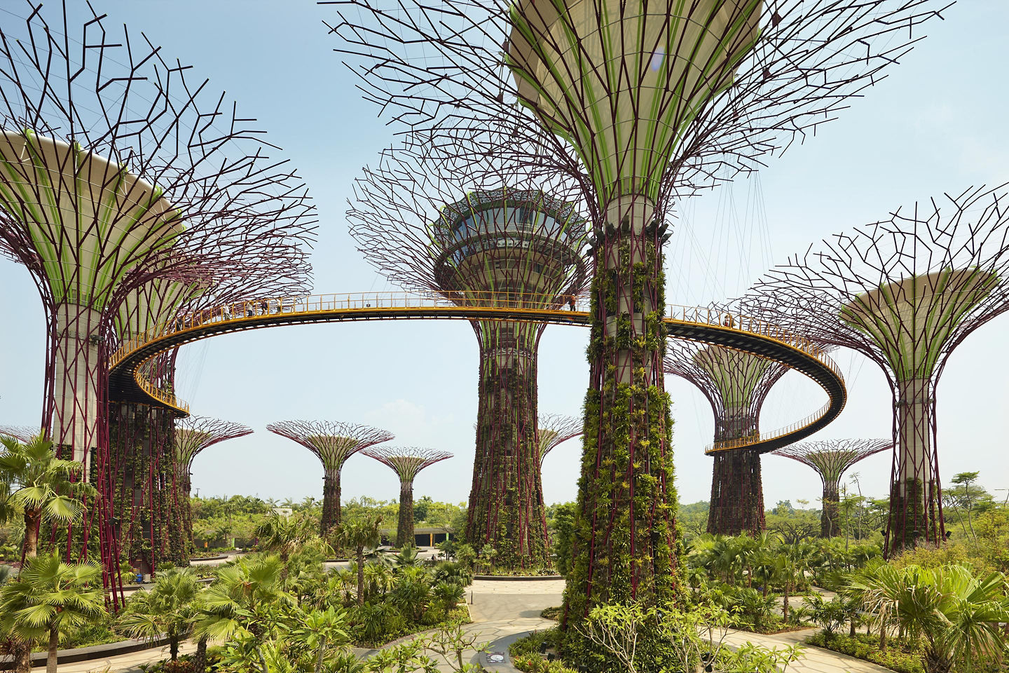 Enjoy beautiful sculptural vegetation towers from Gardens by the Bay.