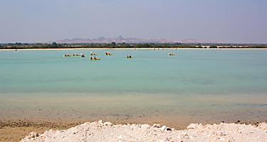 Sea landscape with canoes in the background on Sir Bani Yas, United Arab Emirates