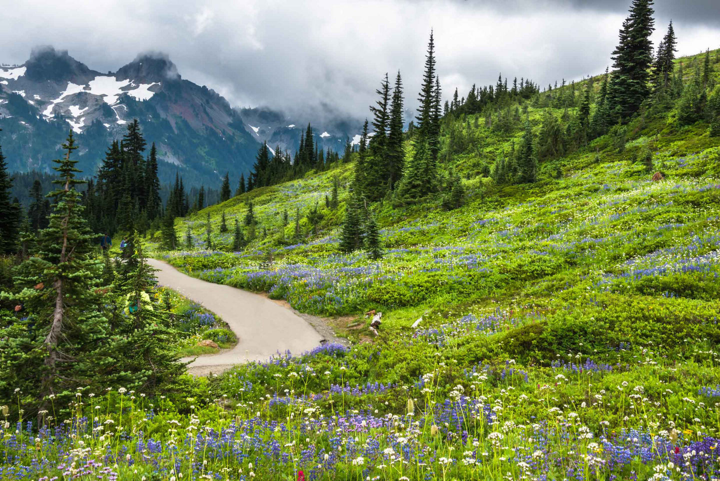 Sitka’s rugged peaks rise above calm forests. - Sitka, Alask