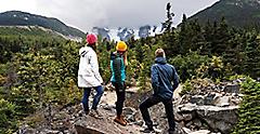 Friends Hiking Glacier Trail During Summer , Skagway, Alaska
