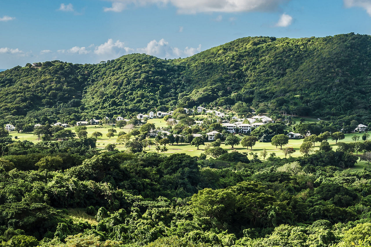 View of the Lush Natural Landscape, St. Croix, U.S. Virgin Islands