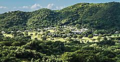 View of the Lush Natural Landscape, St. Croix, U.S. Virgin Islands