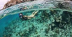 Saint Johns Snorkeling Woman Underwater