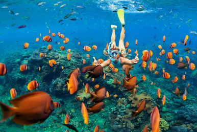 happy family girl snorkeling mask dive