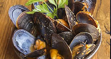 A bowl of steamed mussels