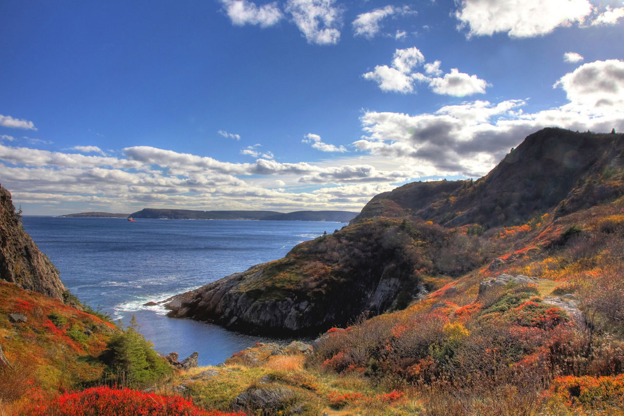 St. Johns Newfoundland Quidi Vidi