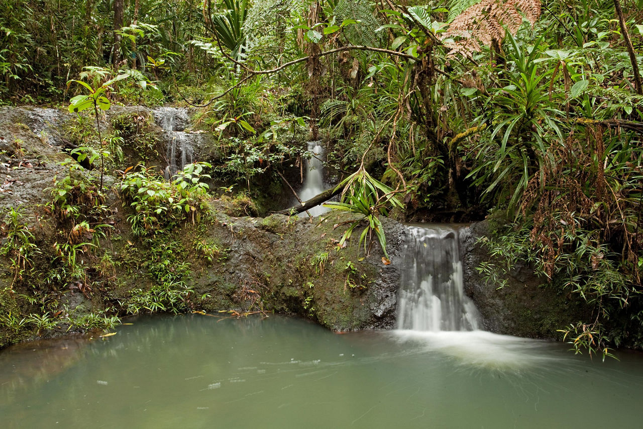 Suva, Fiji Islands Small Waterfall