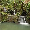A small waterfall in a forest in Suva, Fiji