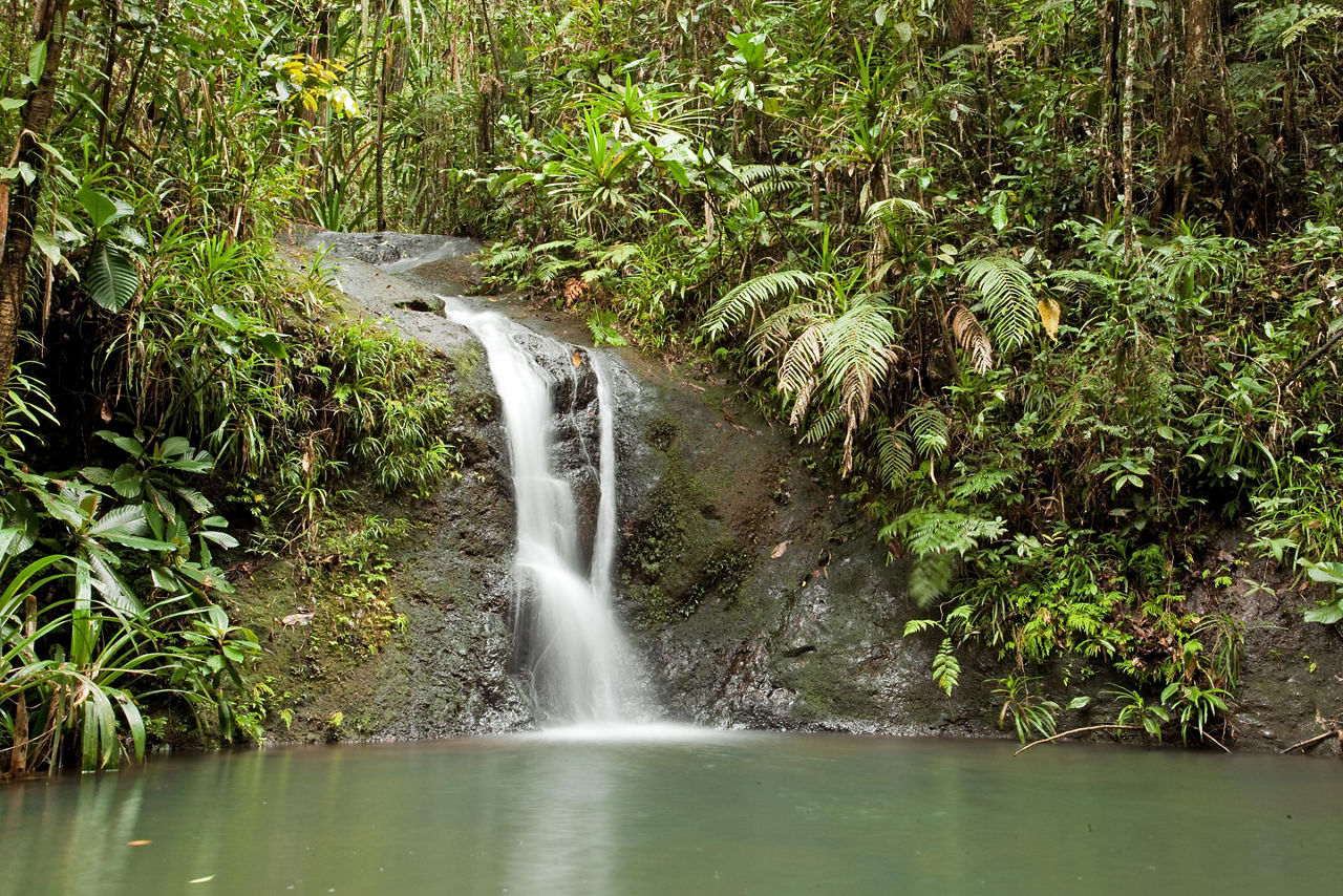 Suva, Fiji Islands Waterfall