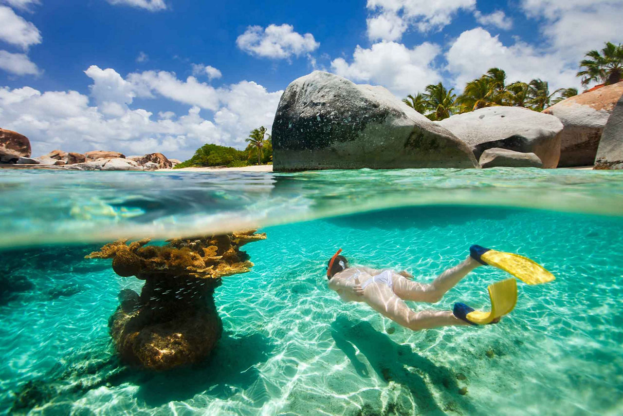 Snorkeling Underwater, Tortola, British Virgin Island 