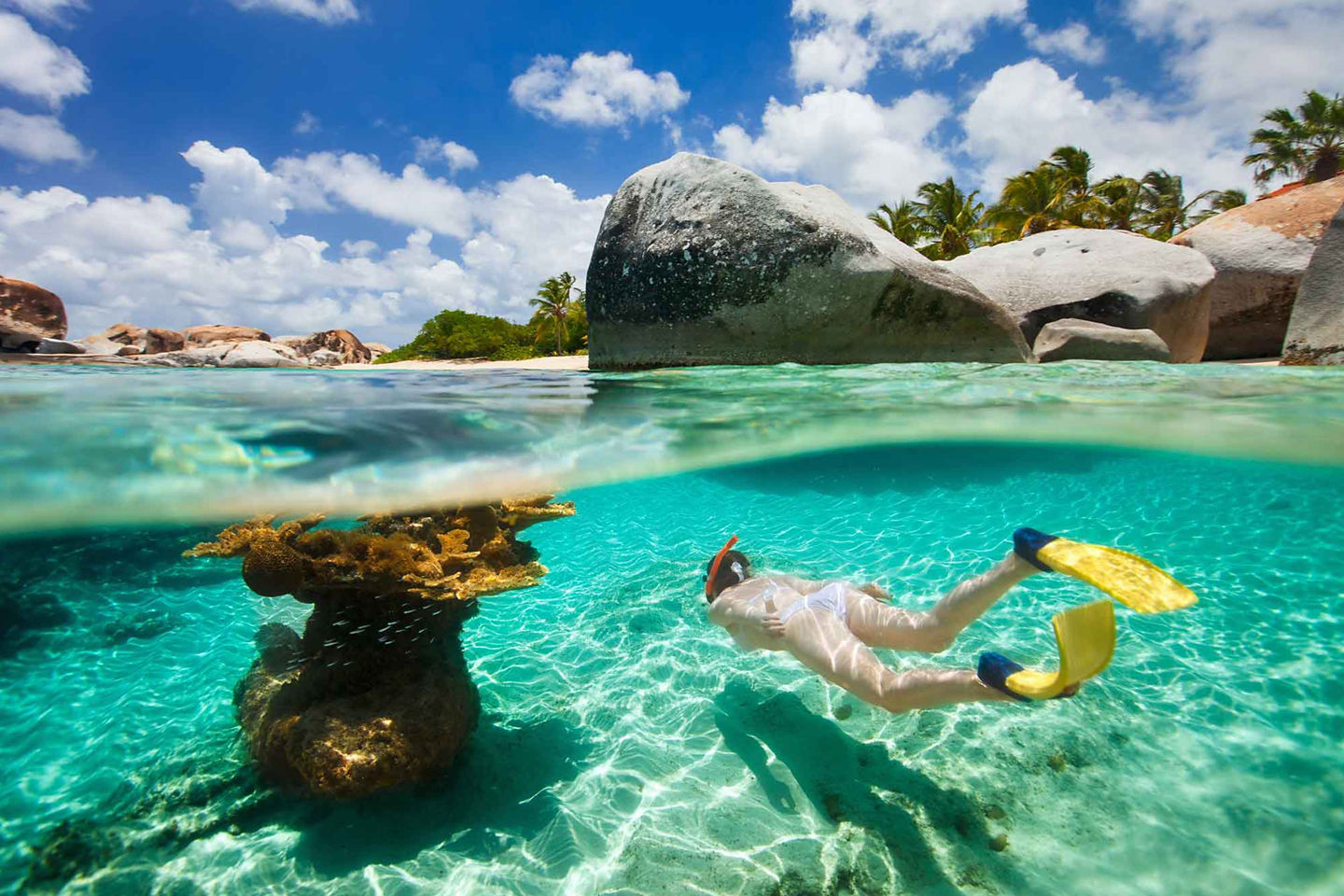 Tortola offers clear waters, coral reefs, turtles, easy snorkeling, and adventurous shipwreck diving. - Tortola, British Virgin Islands