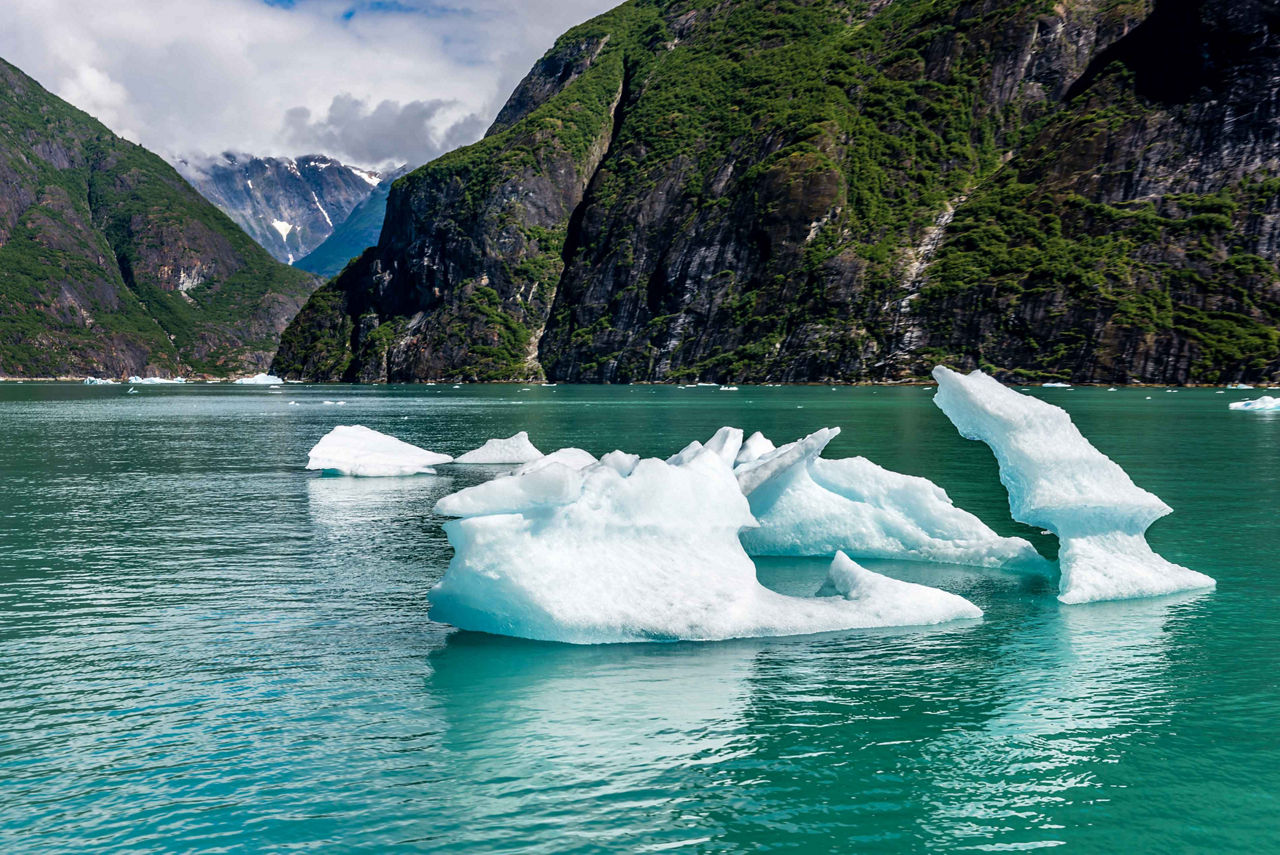Icebergs Float Active Glaciers Scenery, Tracy Arm Fjords, Alaska 