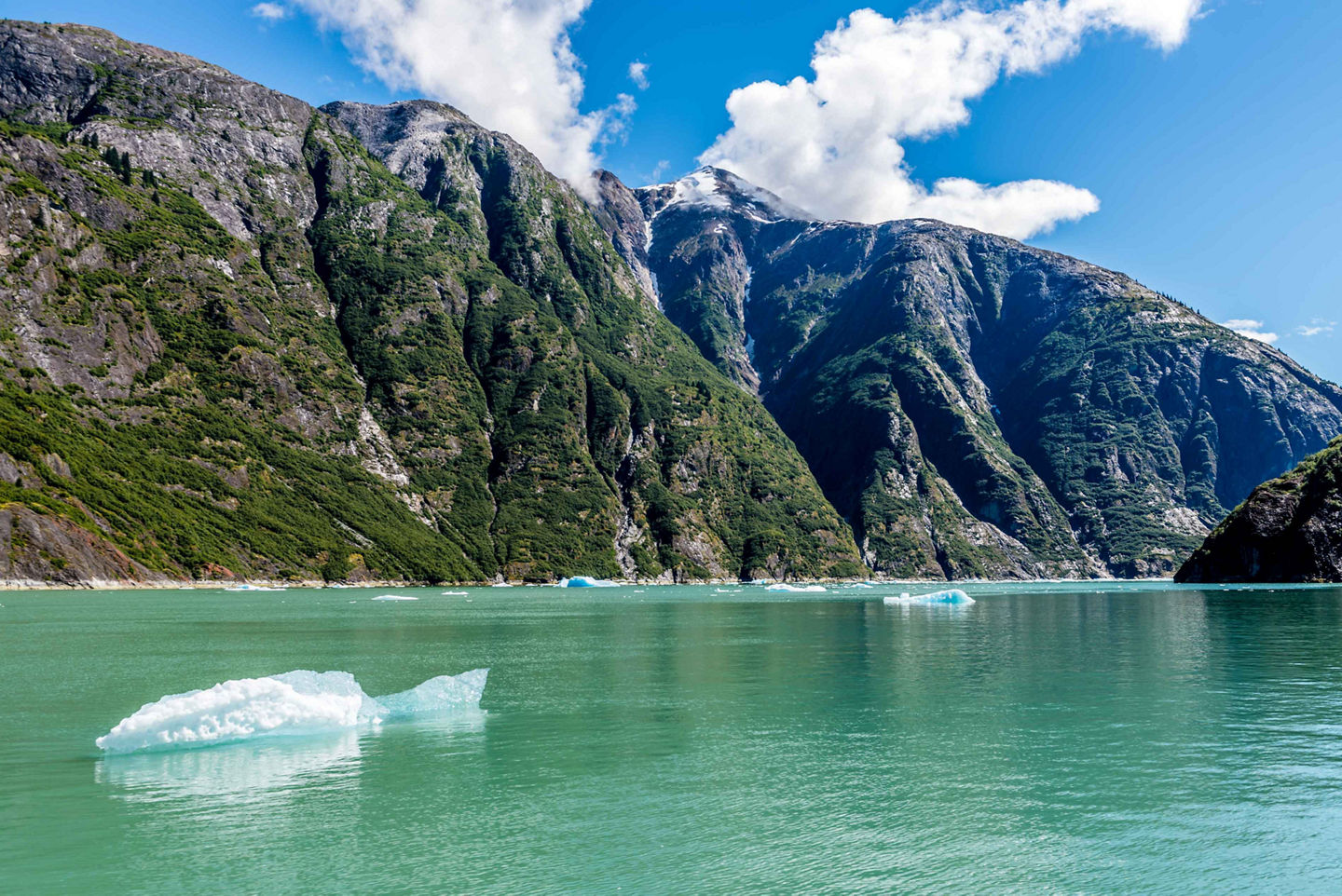 Steep granite walls rise above icy Tracy Arm waters. - Tracy Arm Fjord, Alaska