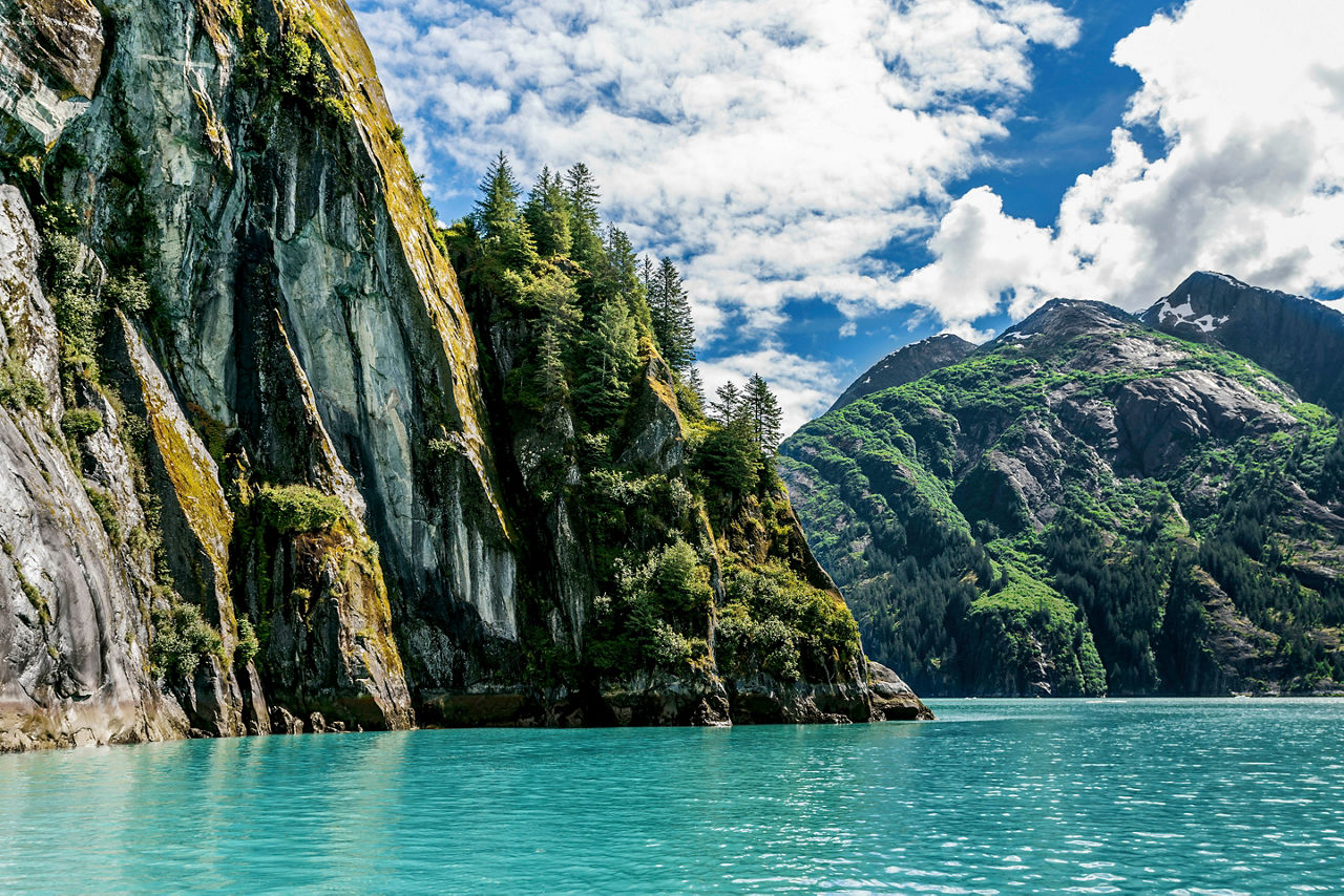 Tracy Arm Fjord Summer Time, Tracy Arm Fjord, Alaska