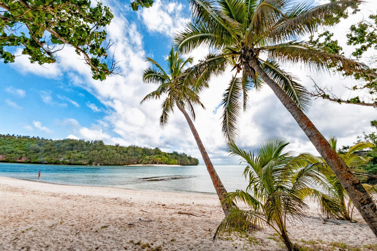 Palm trees on a beach in Vava'u, Tonga