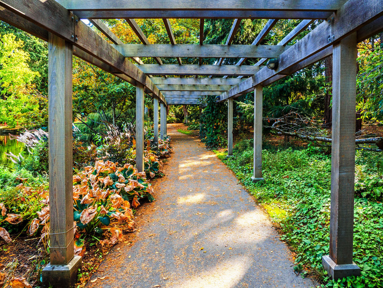 Garden Walkway Vines, Victoria, British Columbia