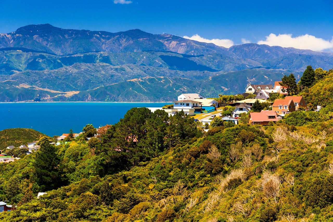 Wellington, New Zealand, Hillside homes
