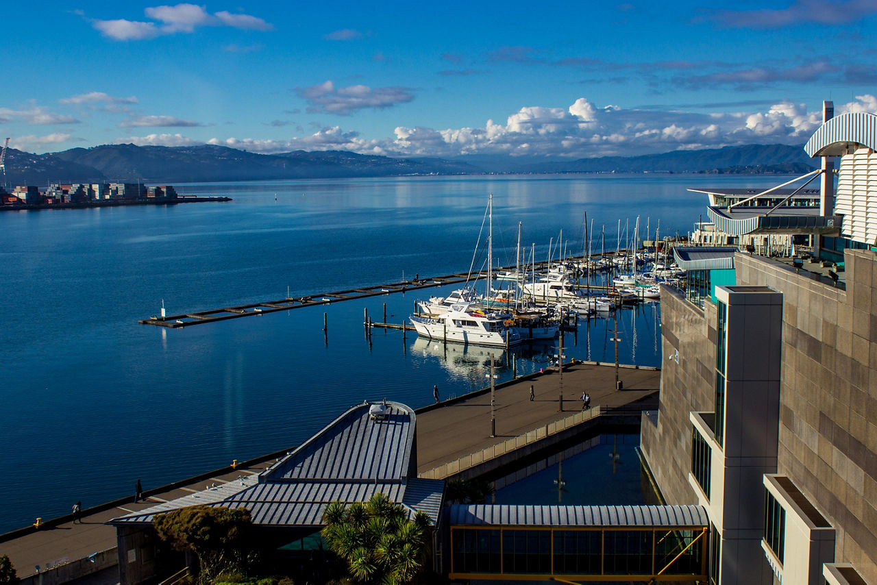 Docks near the Te Papa museum in Wellington, New Zealand