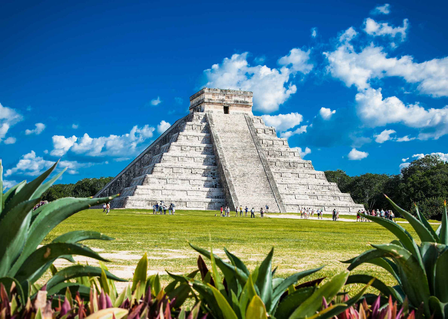 Ancient Mayan temple ruins rising above Yucatán’s green landscape. - Yucatán, Mexico