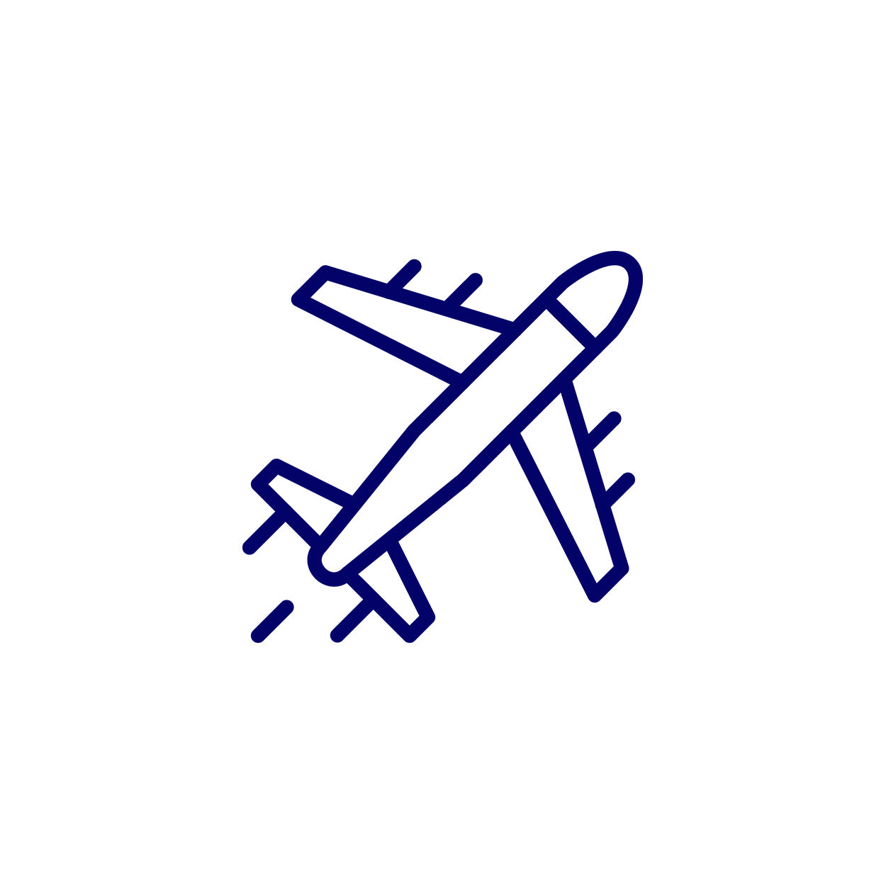 Flights Icon Air