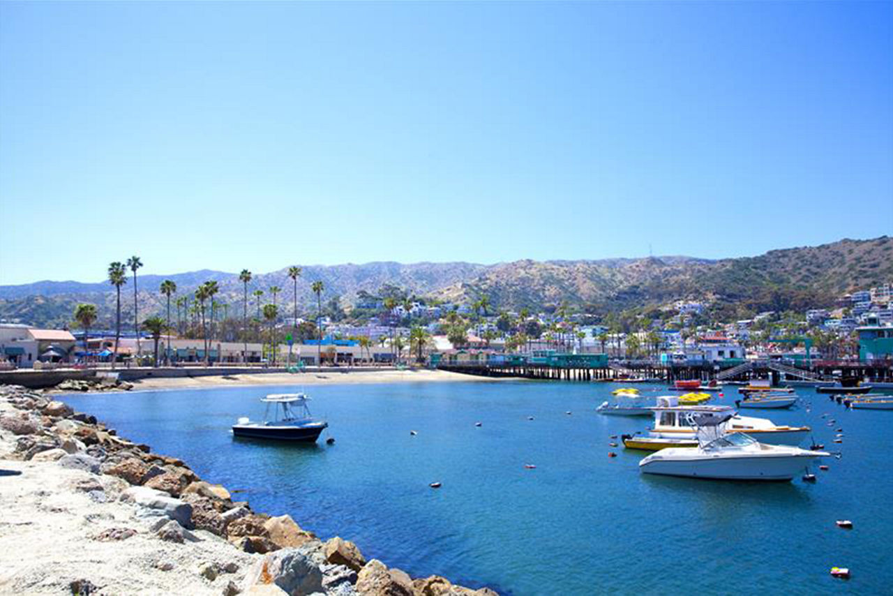 rci aus catalina