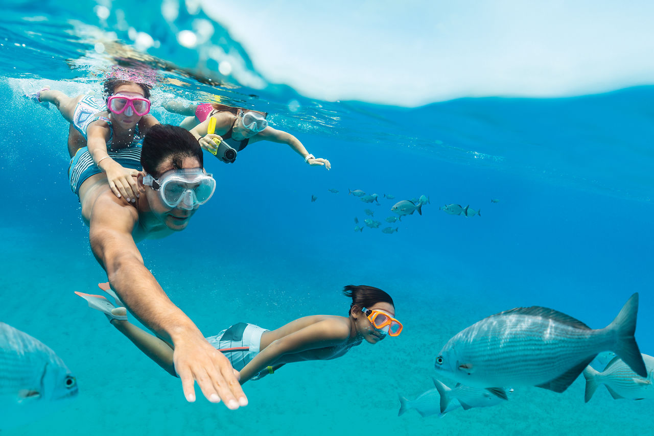 rci aus cococay snorkel