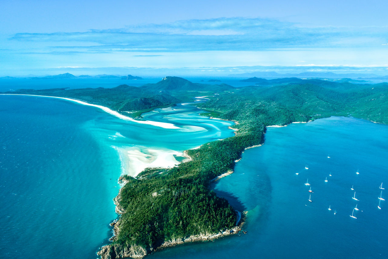 1148897619