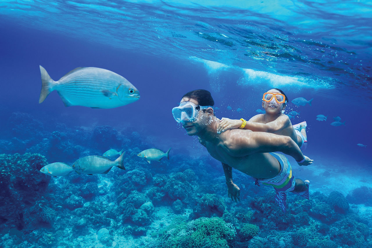 rci aus cozumel columbia reef