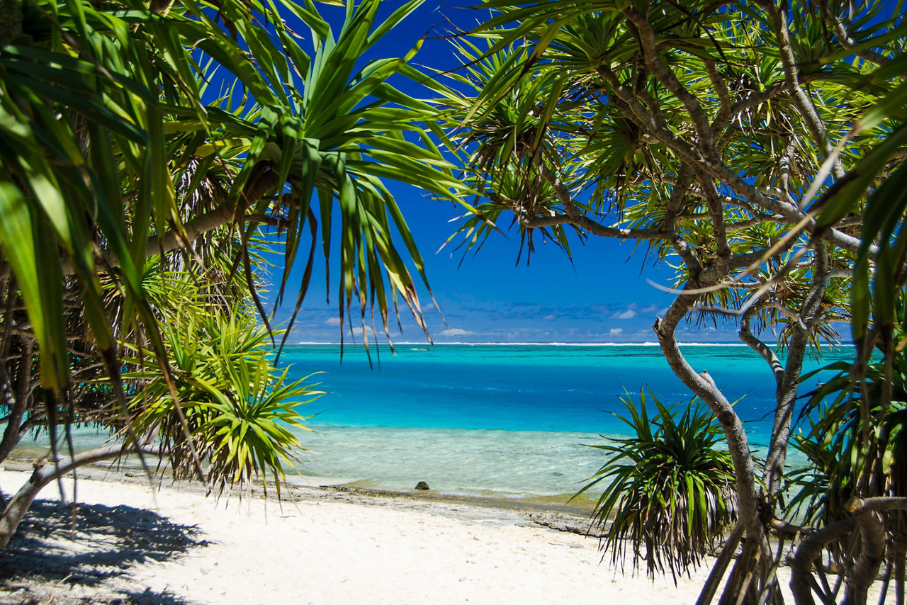 rci wiggles guide south pacific vanuatu mystery island