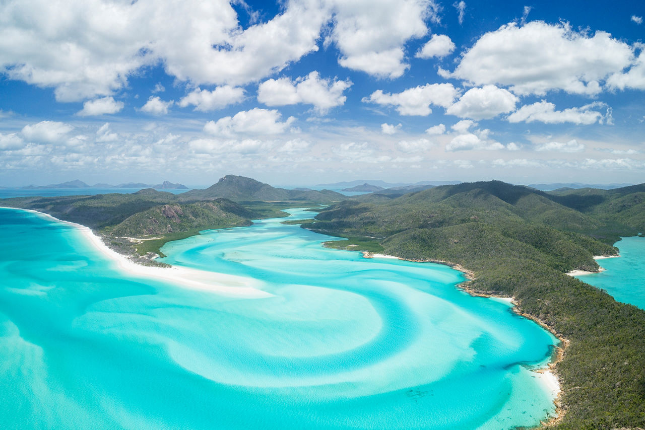 rci wiggles guide whitsunday islands great barrier reef queensland australia