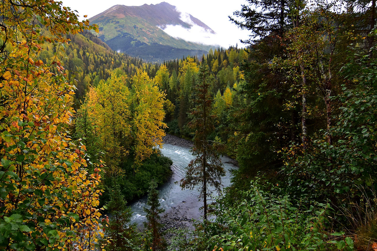 Adventure Traveling the Six Mile Creek in Anchorage, Alaska