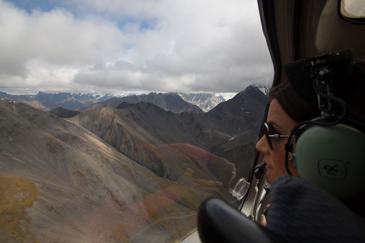 Alaska Denali Helicopter Mountain Glacier Cruise Tour