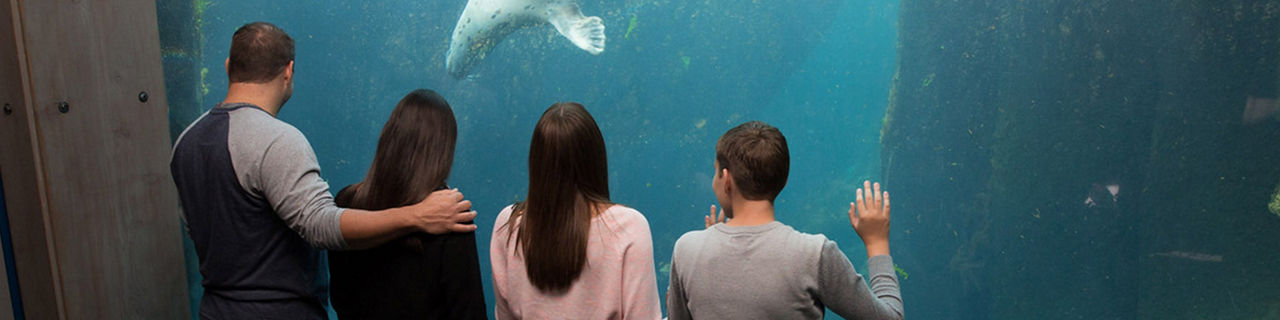 Alaska Seward Aquarium Cruise Tours