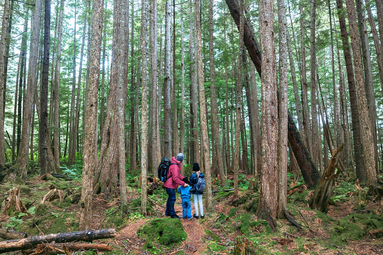 Alaska Forest Family Exploring