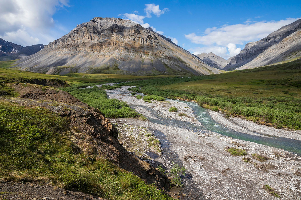 A stream flowing in the summer time in Gates of the Arctic National Park (Alaska)