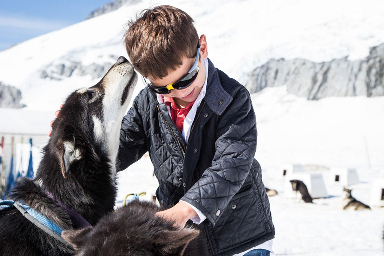 Alaska Juneau Dog Sledding